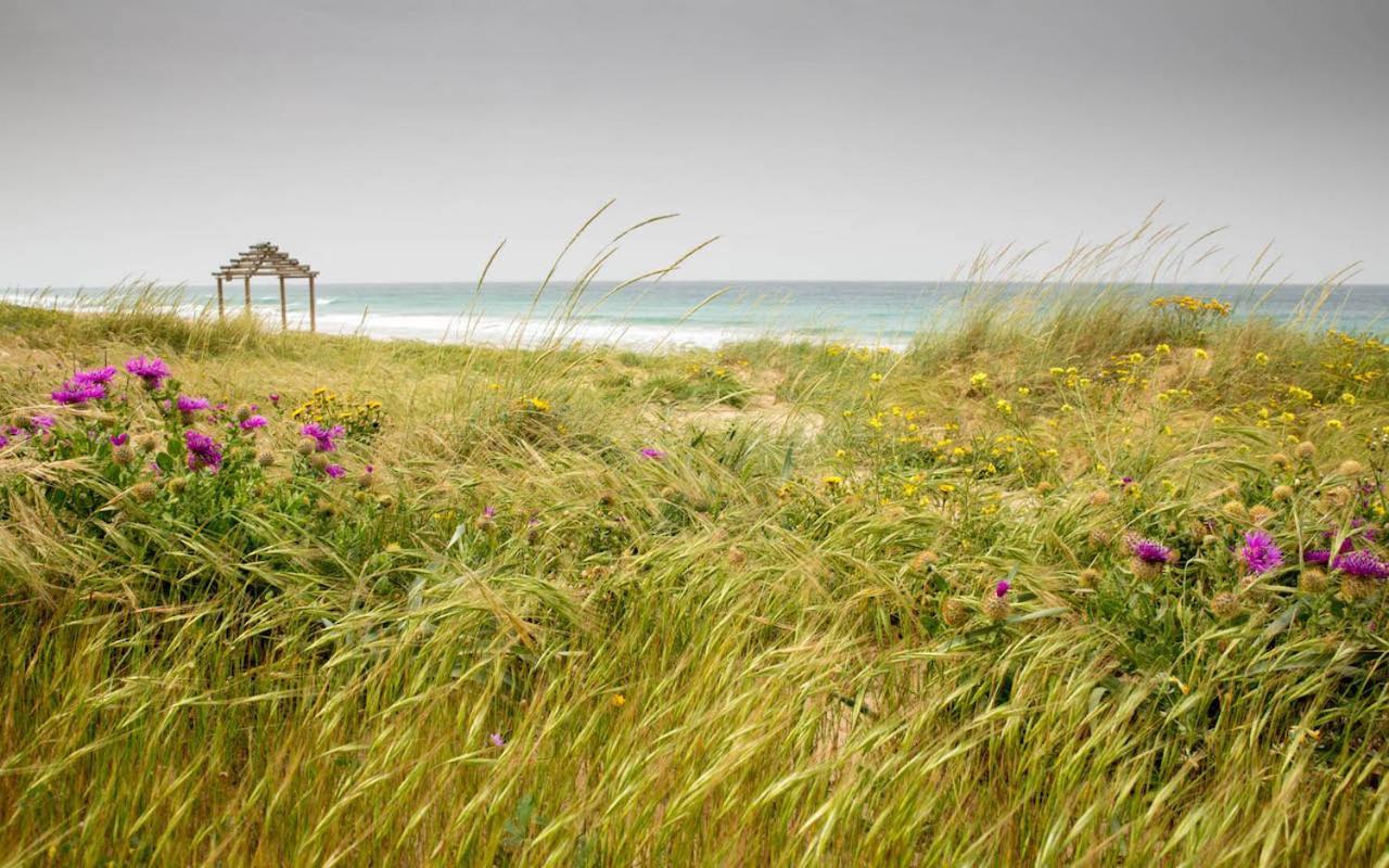 Romantic Beach Cabin - Playa El Palmar El Palmar  Exteriér fotografie